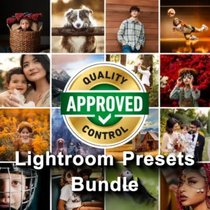 AYX All Presets Pack